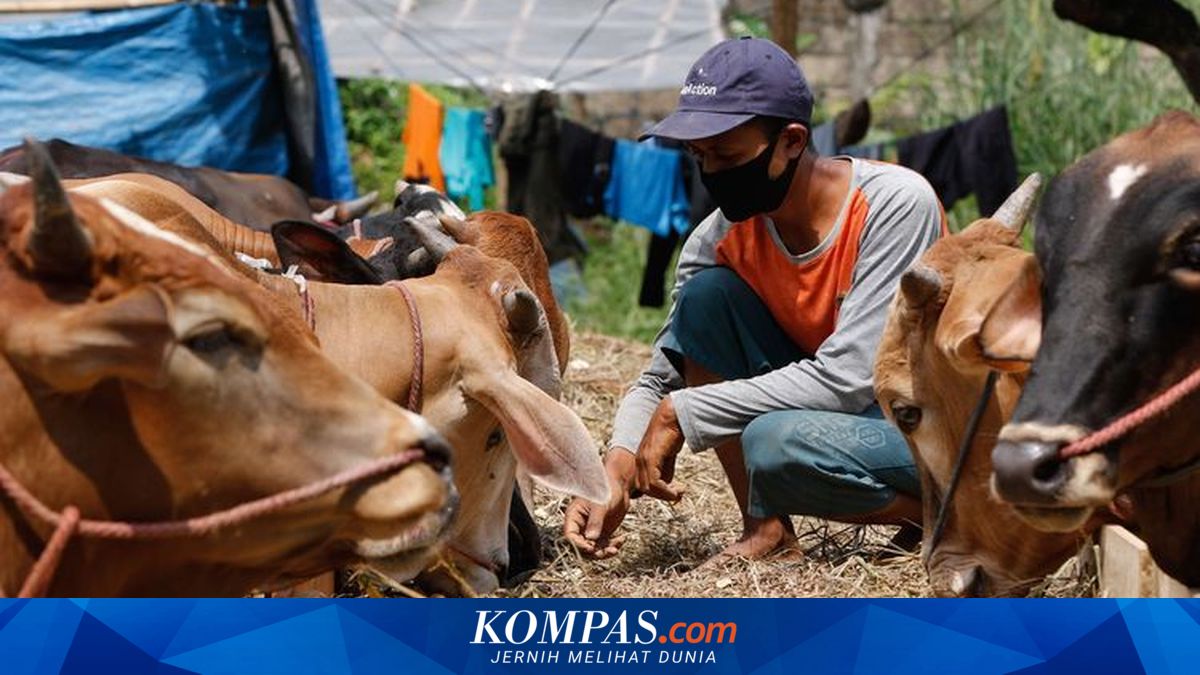 Instant Economy and Online Qurban Trends in Indonesia
