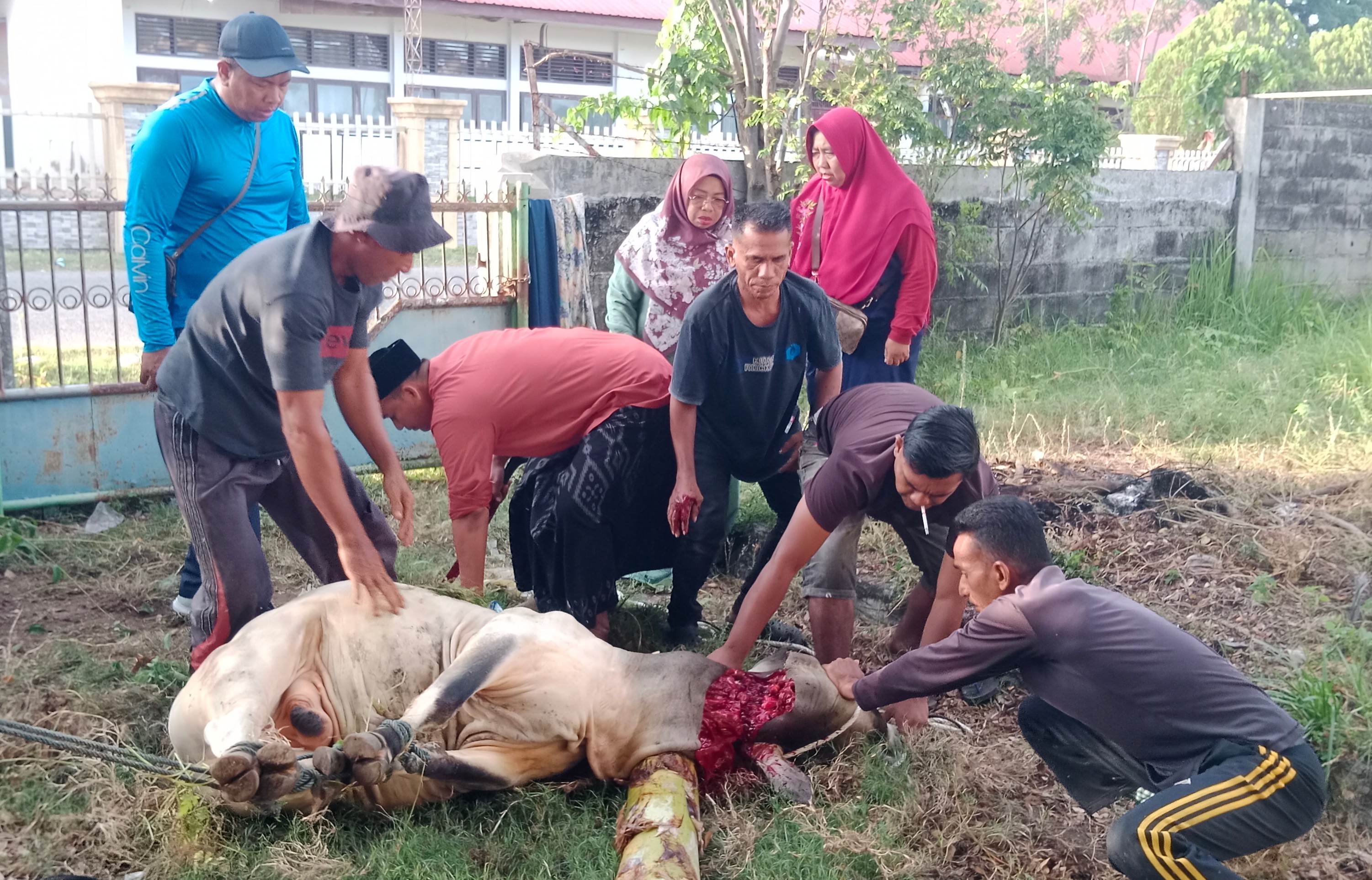 Building Students' Social-Religious Character: MAN 1 Pidie in Aceh Sacrifices Nine animals for Kurban