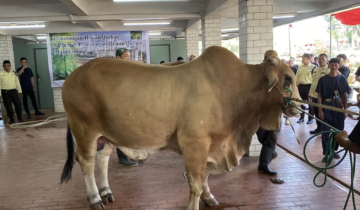 Istiqlal Distributes 10,728 Packages of Sacrificial Meat