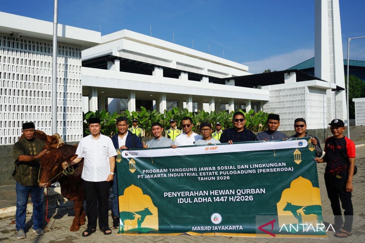 PT JIEP Distributes 34 Sacrificial Cows to Jakarta Residents During Eid al-Adha