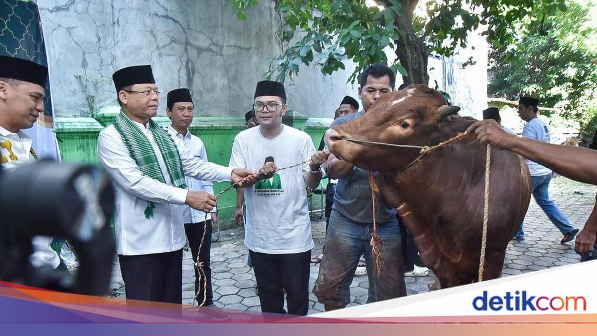 PPP Holds Nationwide Qurban Event, Over 100 Animals Distributed