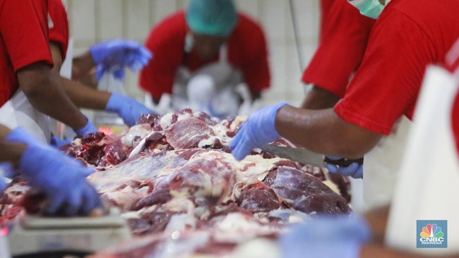 How to Store Eid al-Adha Sacrificial Meat for Months: Expert Tips