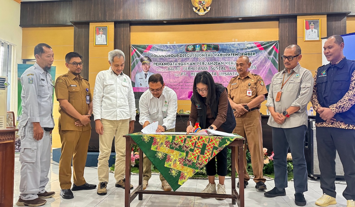 Agroforestry Programme Boosts Community Economy