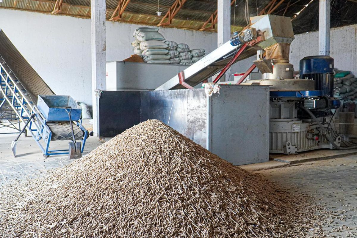PLTU Indramayu Continues to Use Biomass for Power Generation