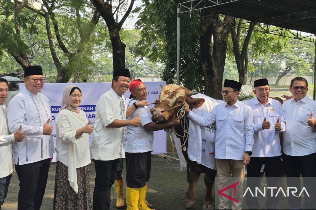 Danareksa and Baznas distribute 3,000 Eid al-Adha meat packages to Surabaya residents