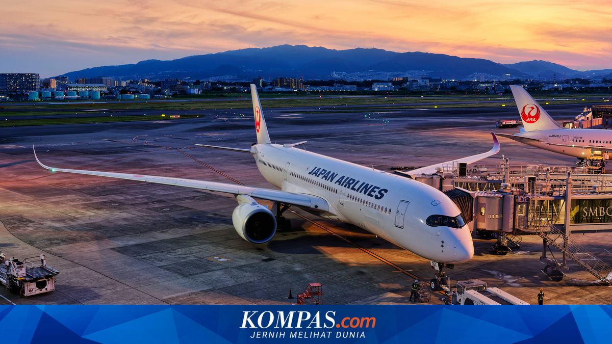 Japan Airlines flight delayed after cabin crew member found to have consumed alcohol