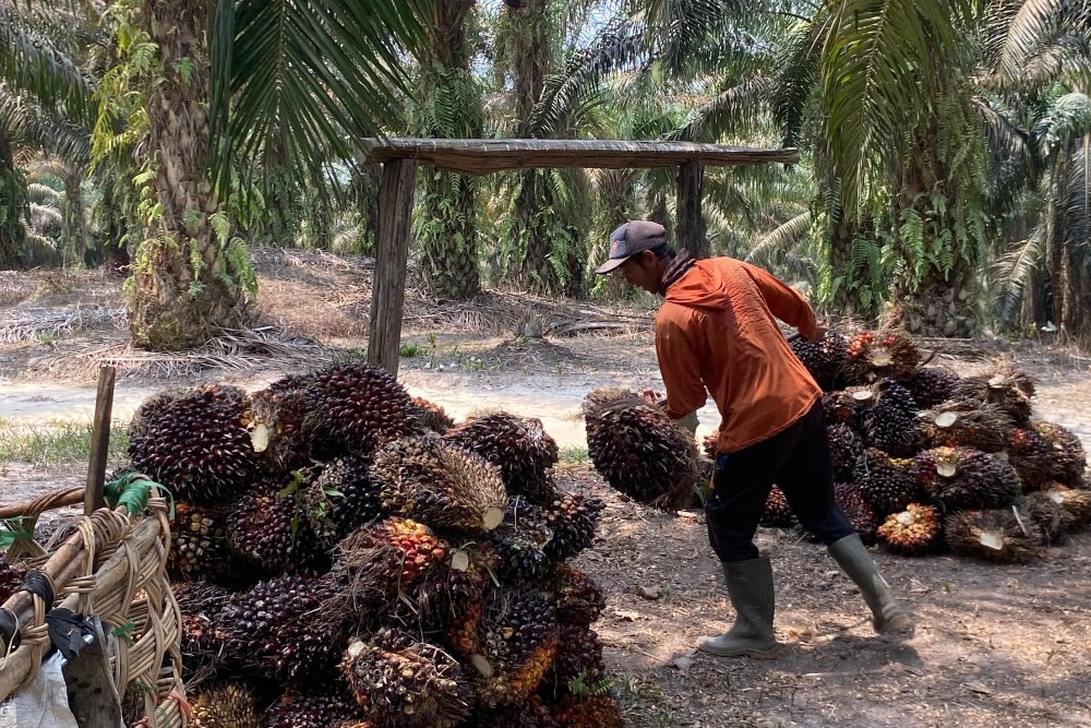 South Sumatra establishes task force to accelerate strategic project investments