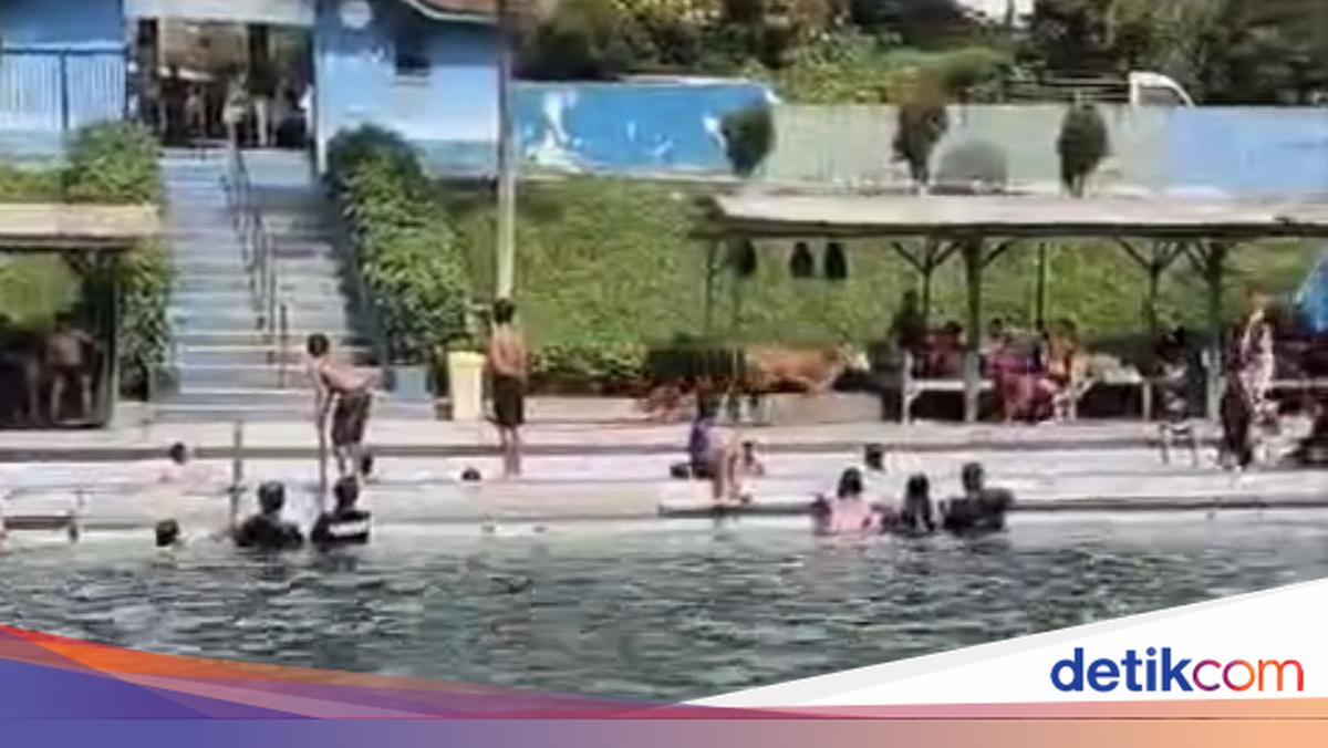 Sacrificial Cow Escapes to Swimming Pool in North Sumatra, Visitors Flee in Panic
