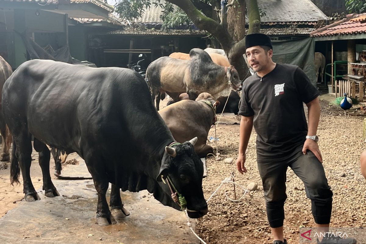 Yesterday: Irfan Hakim's Sacrificial Animal Count Rises as Ferrari Luce Unveiled