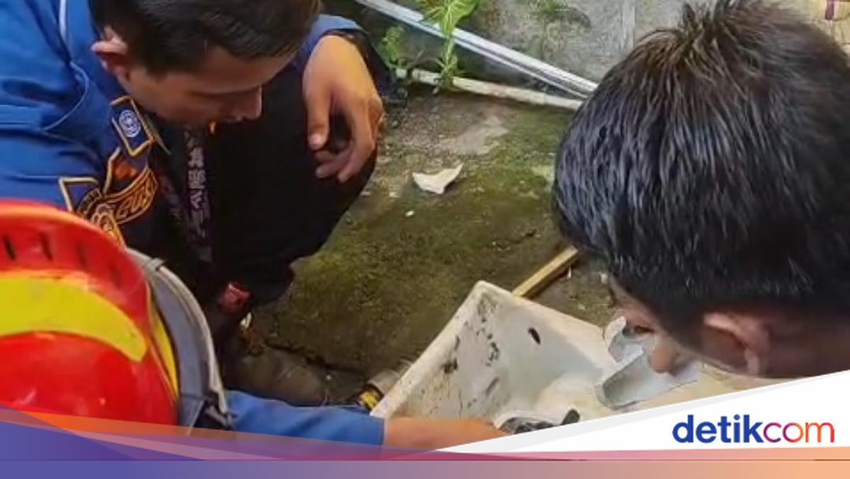 Kitten trapped in Bogor resident's sink, fire department rescues it
