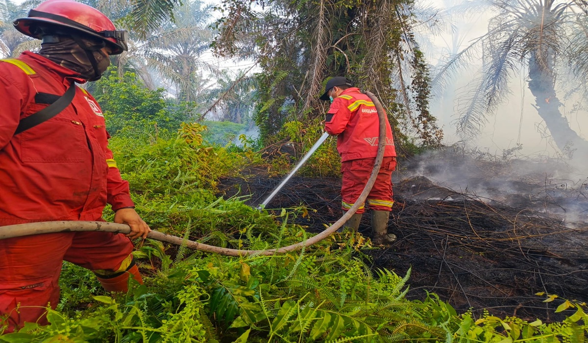 Pekanbaru Declares Emergency Alert for Forest and Land Fires