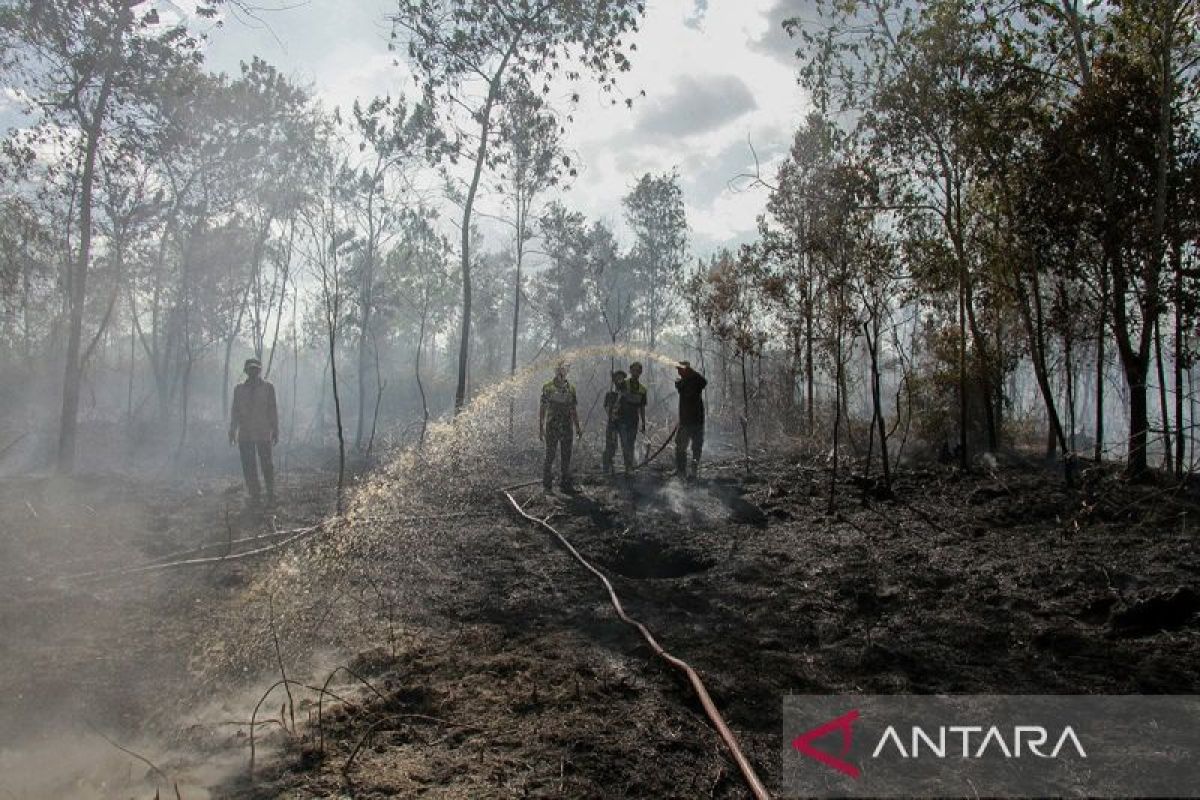 BNPB: Multi-disaster vigilance top priority as dry season approaches