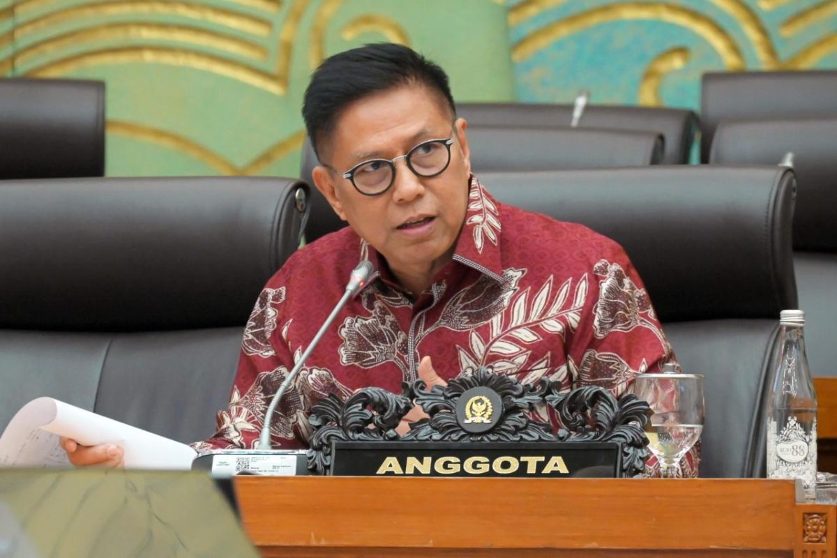 DPR member calls for strict action against mining investors causing environmental damage