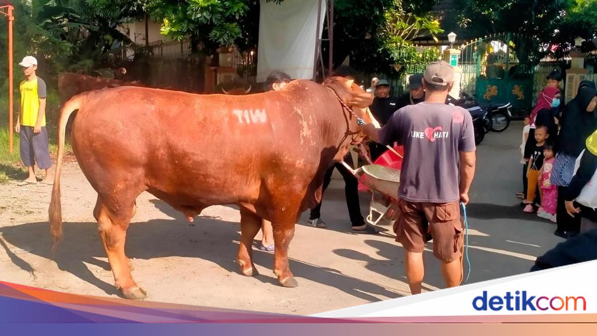 Mosque Near Amien Rais' Home Receives Anonymous 'TIW' Qurban Cow