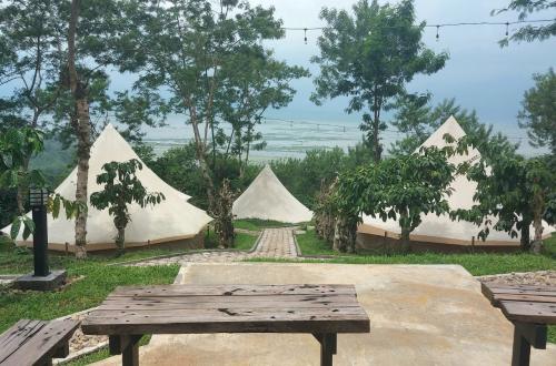 Two suspected causes of family's death during glamping trip in Temanggung uncovered