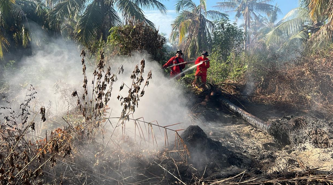 Riau's Forest and Land Fires Spread to Pelalawan, Manggala Agni Strengthens Peatland Firefighting