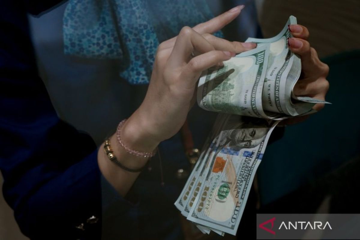 Economist says monetary instruments alone insufficient to stem rupiah depreciation