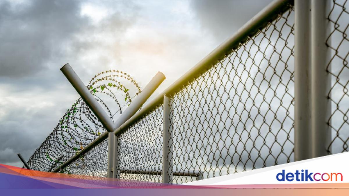 National Elderly Day 2026: 560 Inmates Over 70 Granted Remission