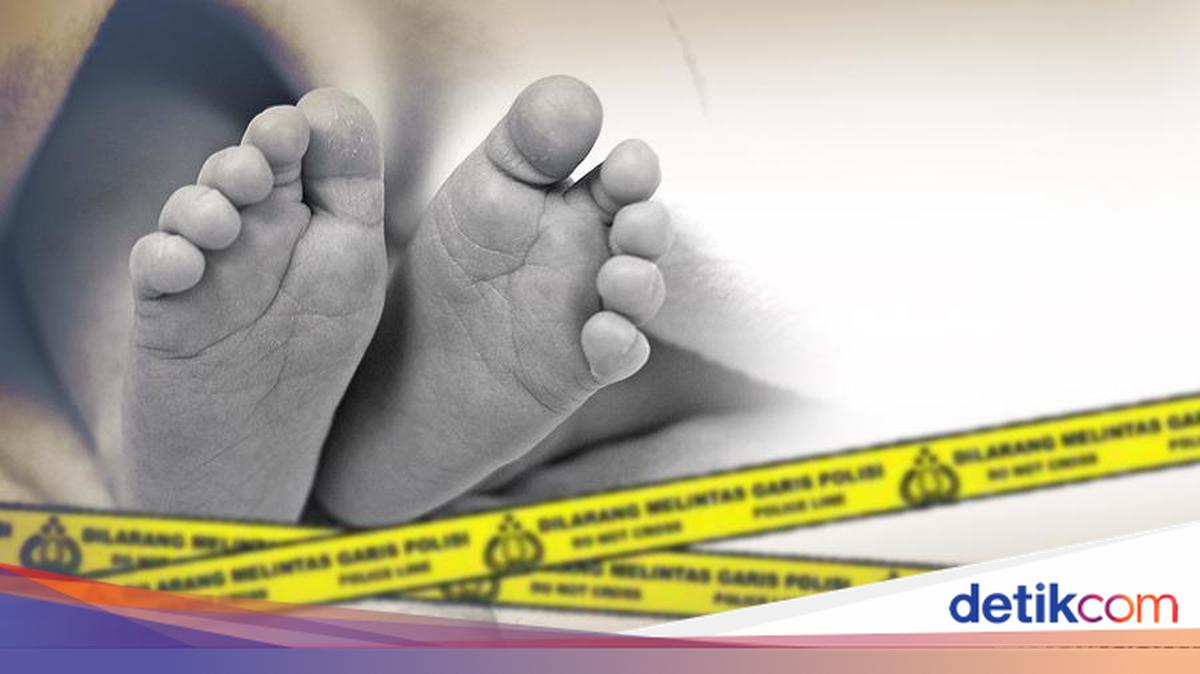 Residents Shocked by Decomposing Male Infant Body Found Behind House in Kupang