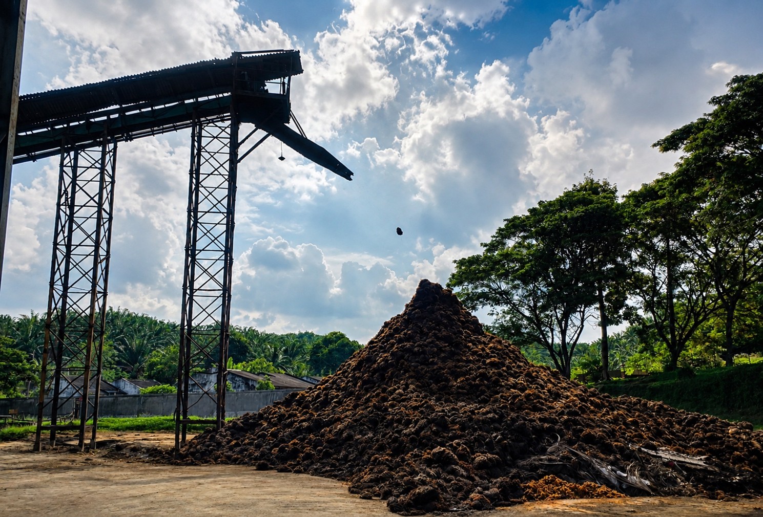 Palm Oil as an Energy Source Requires Certification and Farmer Involvement