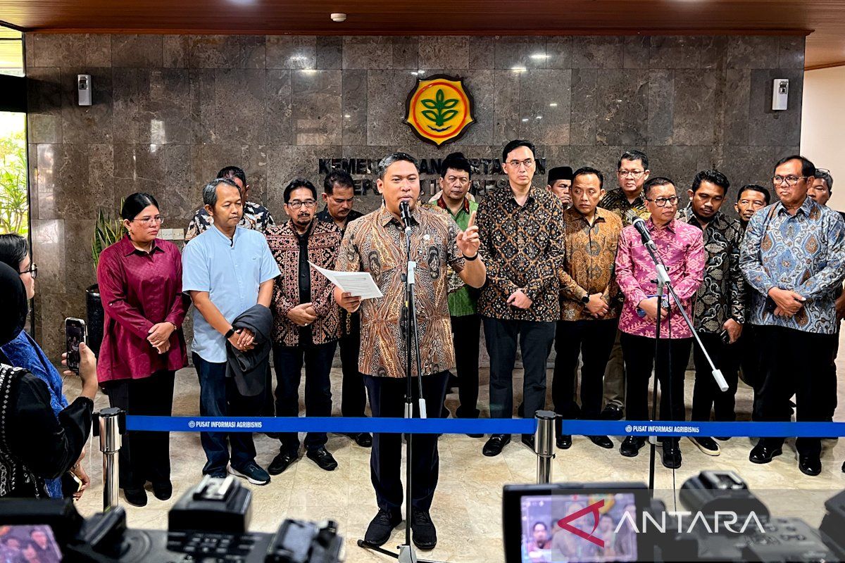 Deputy Agriculture Minister warns of palm oil mill license revocation for below-market TBS purchases