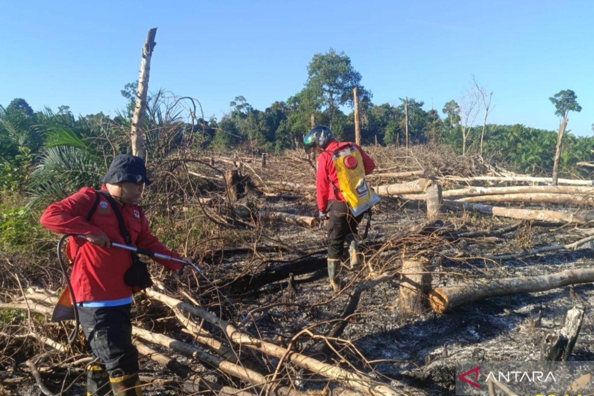 BNPB: Air Patrol Detects Forest and Land Fires in Muara Enim