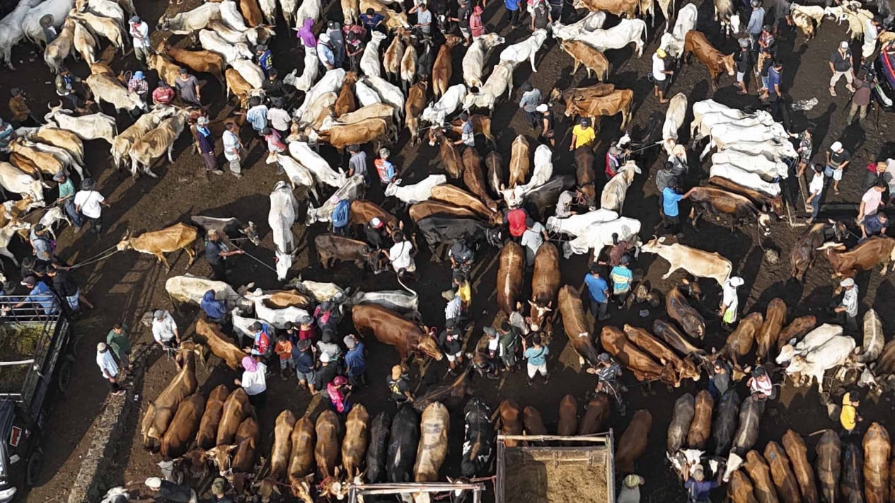 Indef Projects Qurbani Revenue to Reach Rp26 Trillion During 2026 Eid al-Adha, Driving Economic Growth