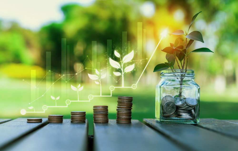 Danapathi Money Market Fund: Preferred Mutual Fund for Liquidity Management