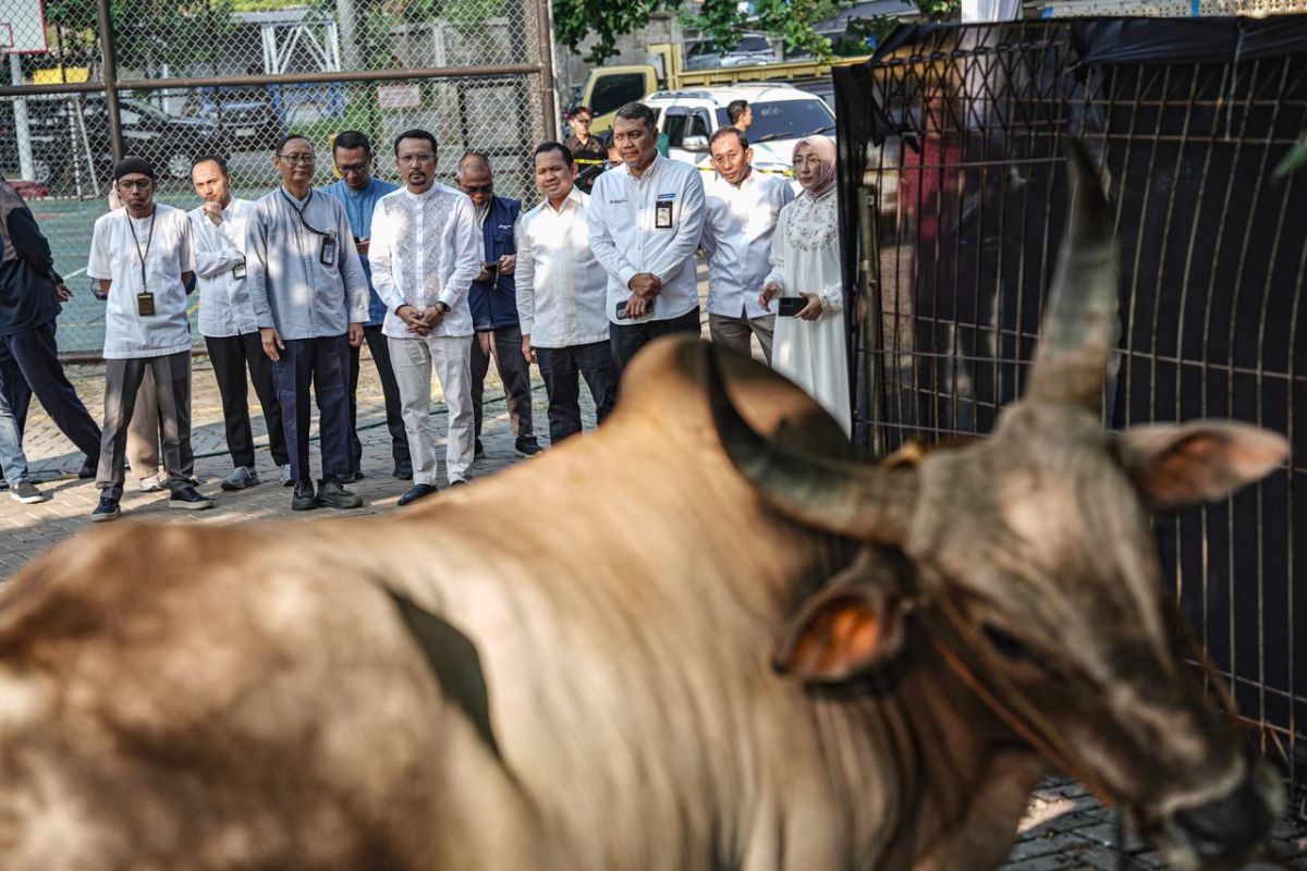 Pertamina Patra Niaga distributes 2,031 sacrificial animals for Eid al-Adha