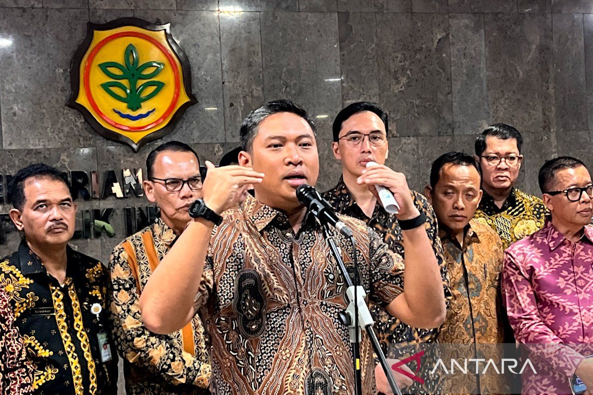 Deputy Agriculture Minister: DSI does not profit from one-stop CPO export scheme
