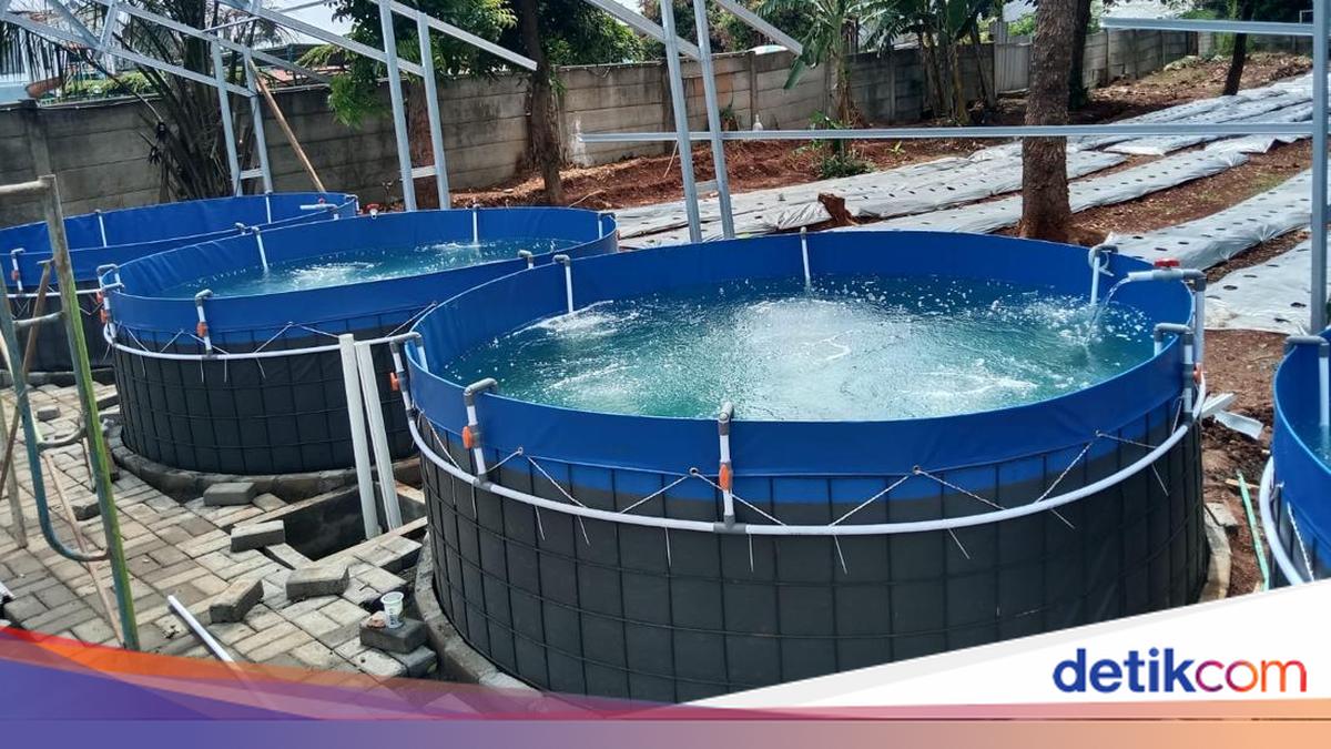 Yasunaga Air Pump Technology Boosts Pond Productivity