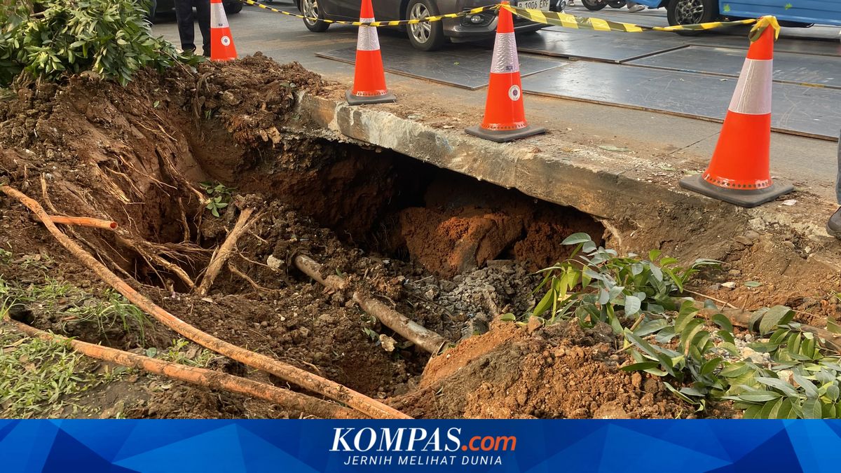 Expert: Road Collapse Should Have Been Detected Early from Wavy Surface
