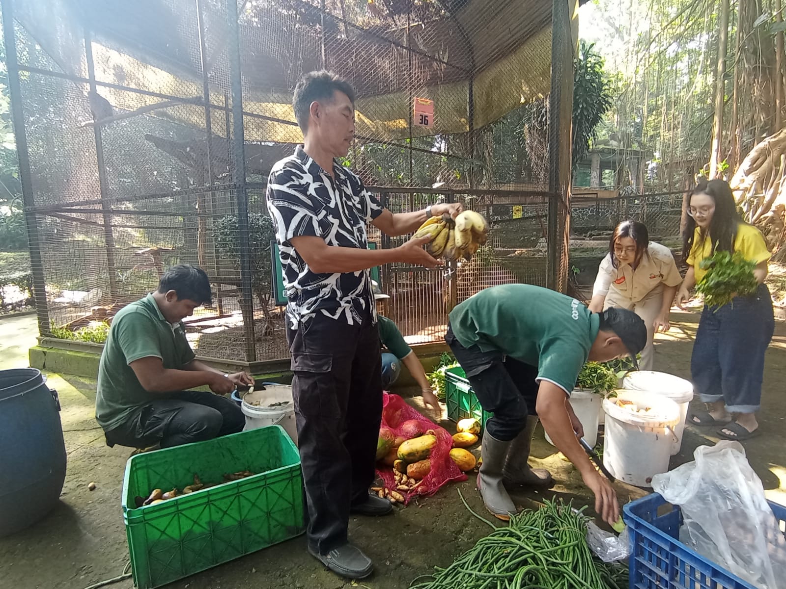 Bandung Zoo Transition Management Ensures Adequate Animal Feed and Nutrition