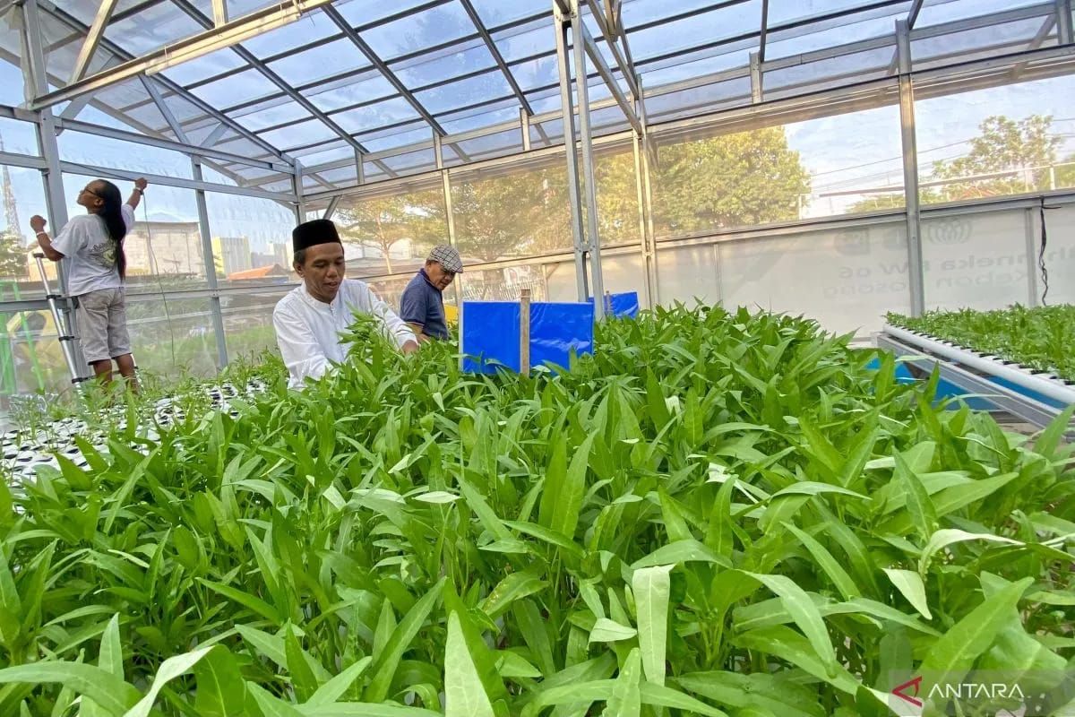Seven RWs in North Jakarta Proposed for National Climate Village Programme (Proklim)