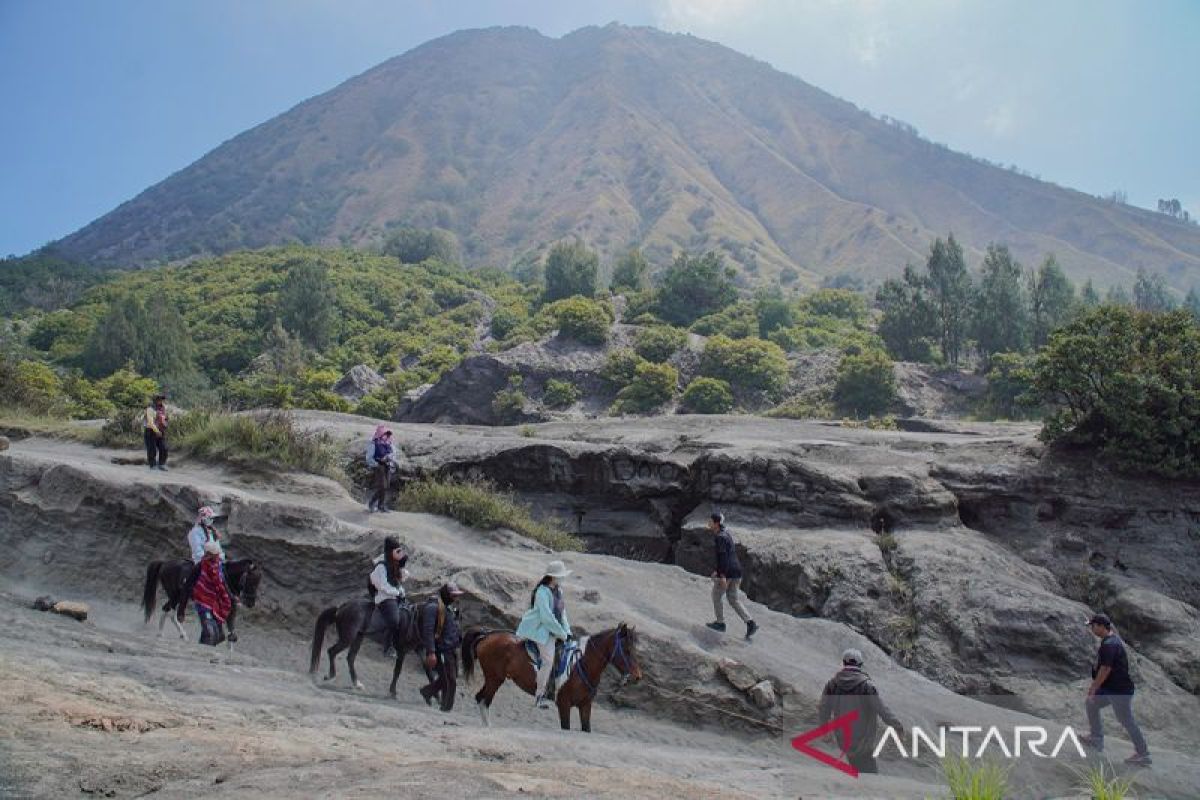 Two killed in Bromo tourist route accident