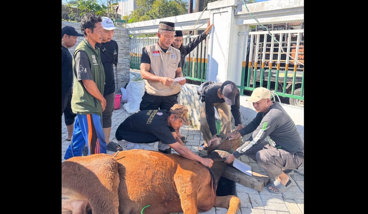Qurban Ritual Strengthens Mutual Assistance and Social Solidarity