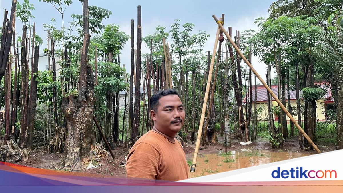 Rezza's Protective Trees Business Supports Family and Creates Jobs