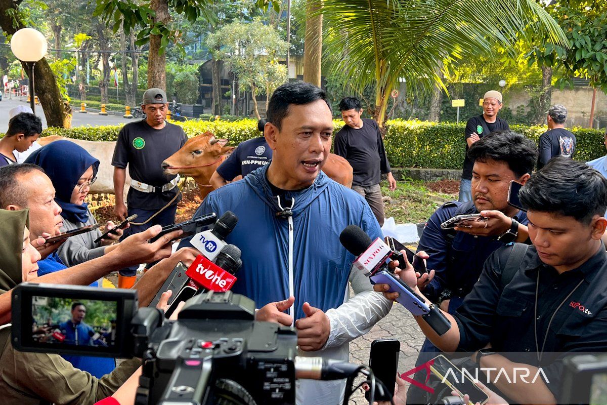 Bulog Managing Director: Grain procurement staff work non-stop to bolster rice self-sufficiency