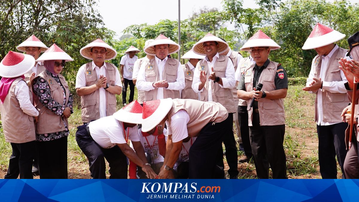 Understanding the Principle of Mutual Agreement in Land Boundary Delimitation