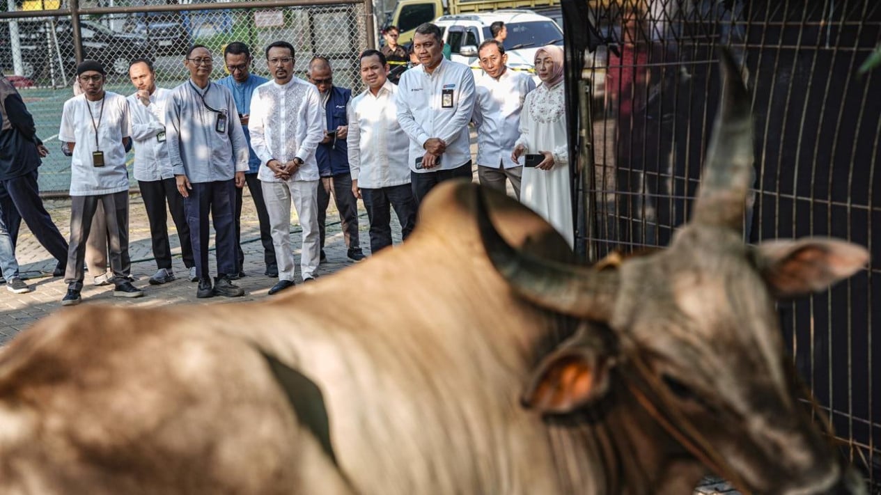 Eid al-Adha 2026: Pertamina Patra Niaga Distributes 2,031 Sacrificial Animals Across Indonesia