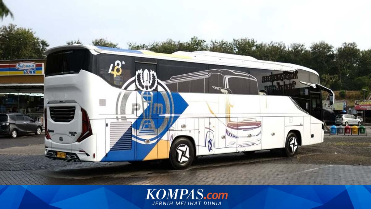 DAMRI Launches 10 New Cross-Border Buses for Three-Nation Route