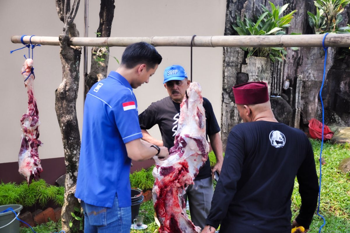 Democrat Party Jakarta distributes 1,500 meat packages to the public
