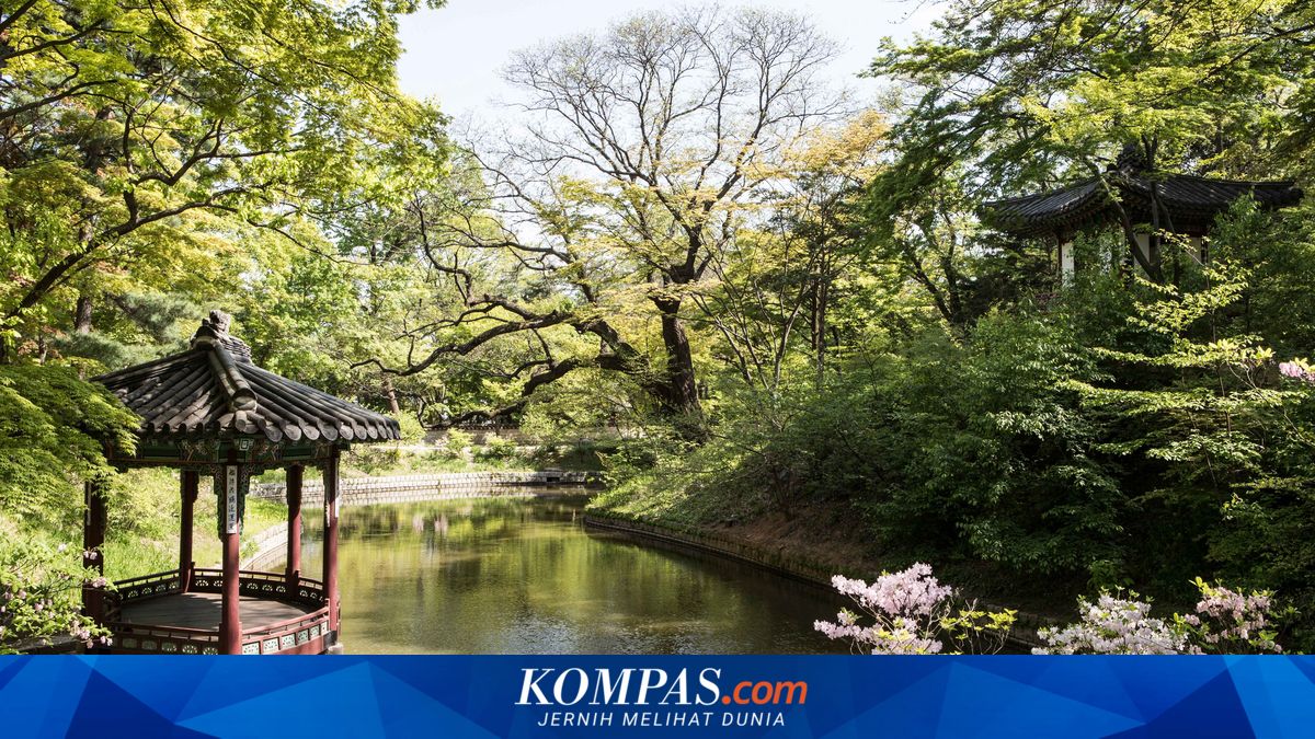 South Korea Launches Digital Navigation Guide to Simplify International tourists' travel