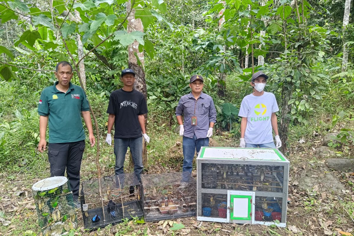 Smuggling of 203 birds thwarted on Trans Sumatra Toll Road