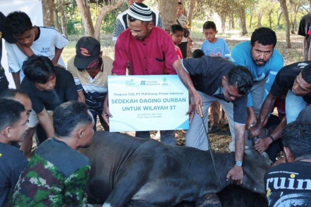 PLN EPI distributes Eid al-Adha sacrificial meat to Maluku and East Nusa Tenggara's remote, frontier, and outermost regions