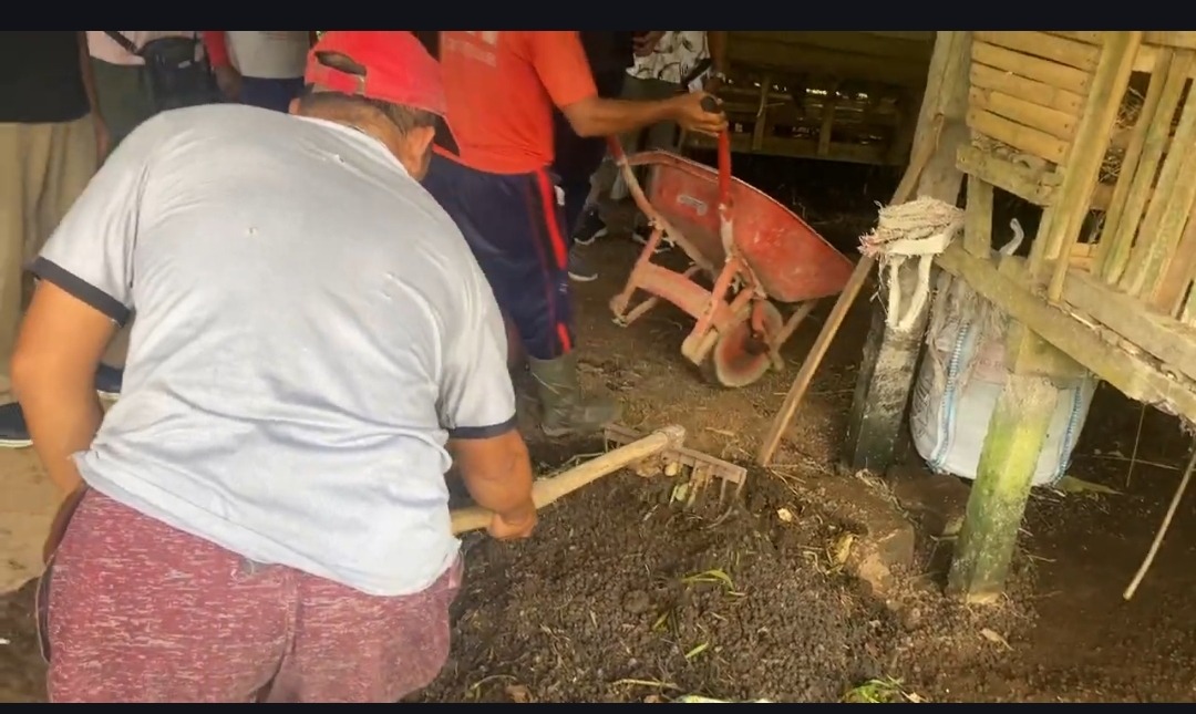 Systematic Barn Sanitation: Key to Preventing Zoonosis Among Livestock Farmers