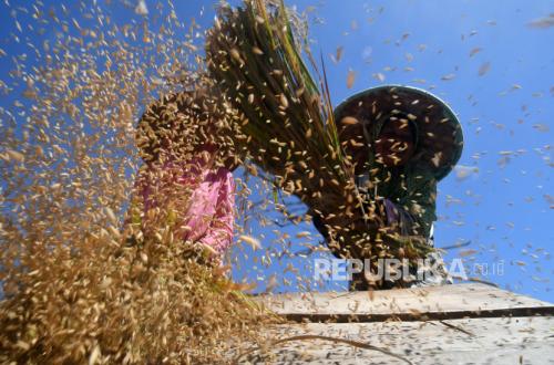 Climate Change Impacts Growing Clearer: Bappenas Warns of Rp2,000 Trillion Global Loss Potential by 2029