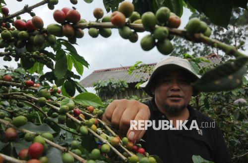 Beyond Price: Key Factors in Indonesia's Commodity Competitiveness