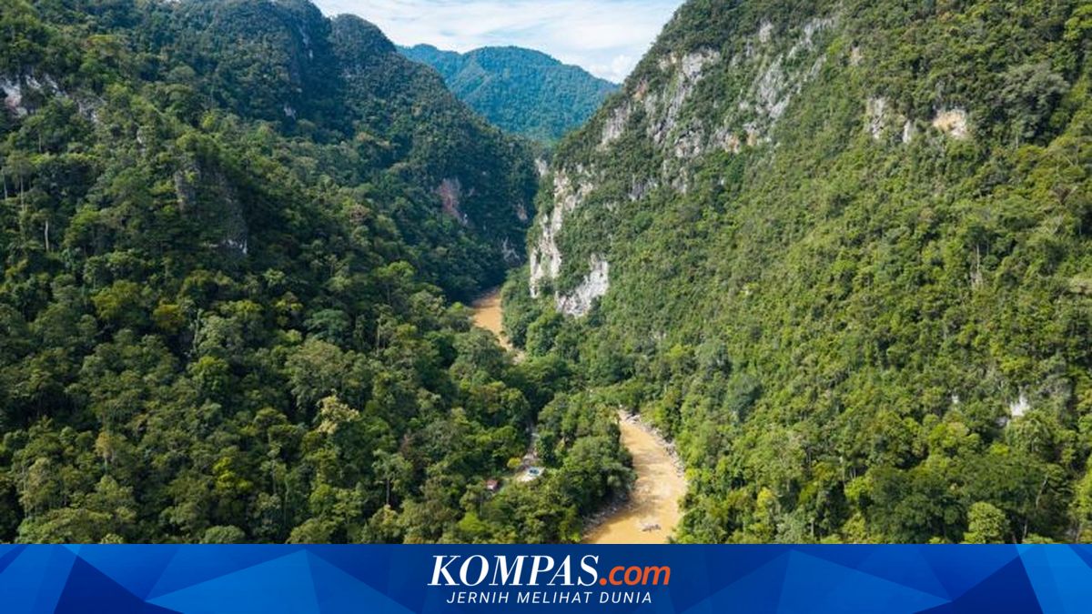 UNESCO Designates 12 New Global Geoparks for 2026, Five in Asia