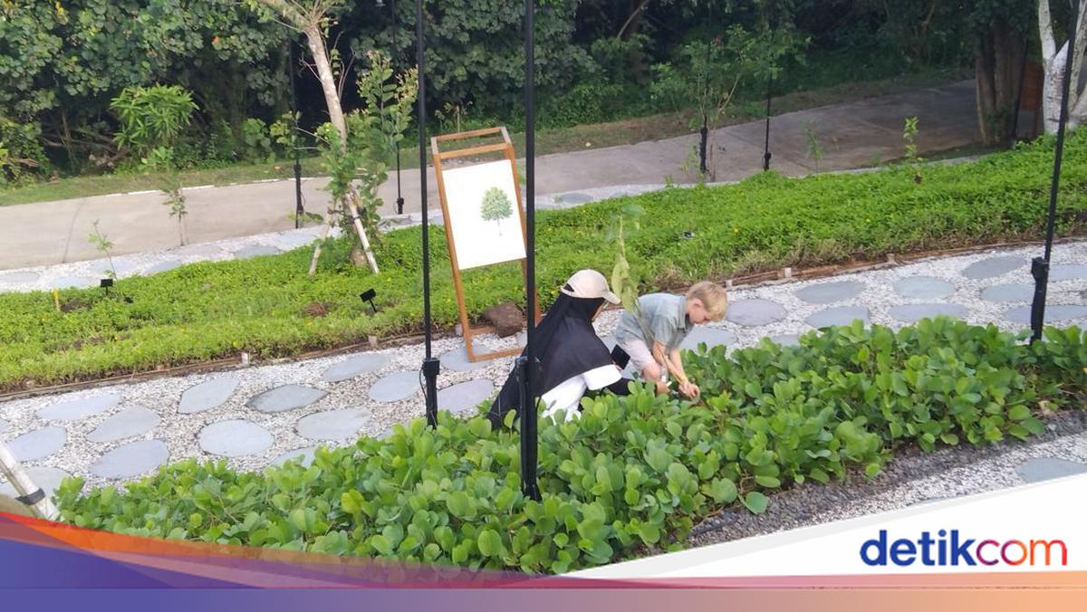 1,000 Endemic Bali Trees Planted at Nuanu Park